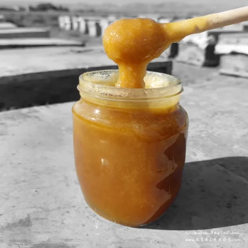عسل ممتاز خام ارگانیک